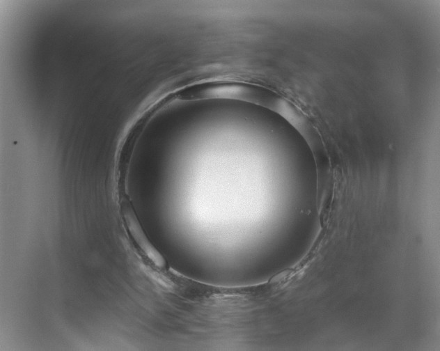 X0000071350150200606301701