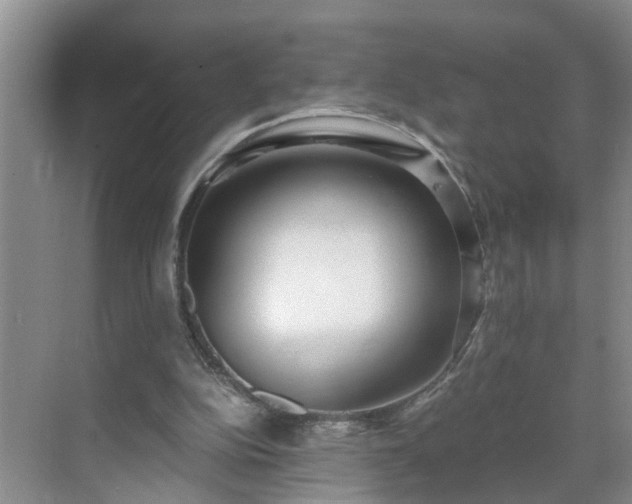 X0000071350152200606301701