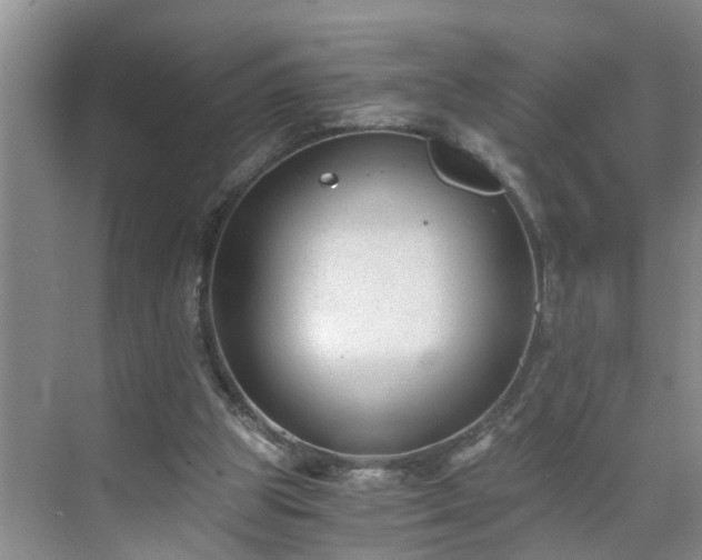 X0000071350153200606301701