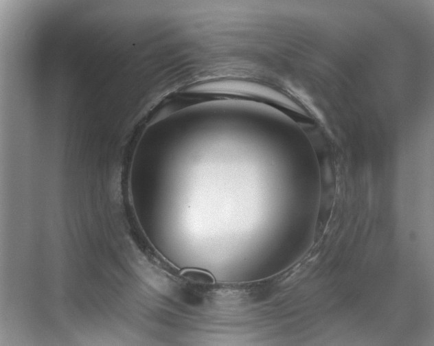 X0000071350154200606301701