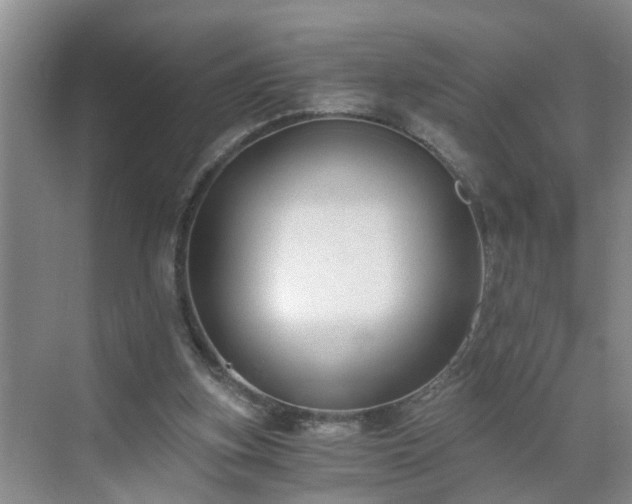 X0000071350155200606301701