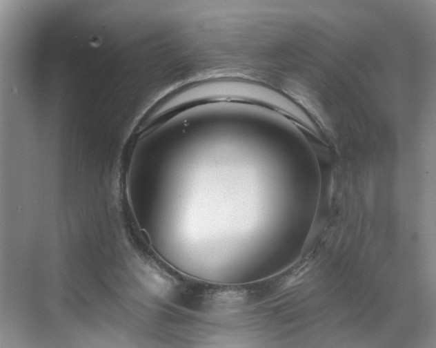 X0000071350156200606301701