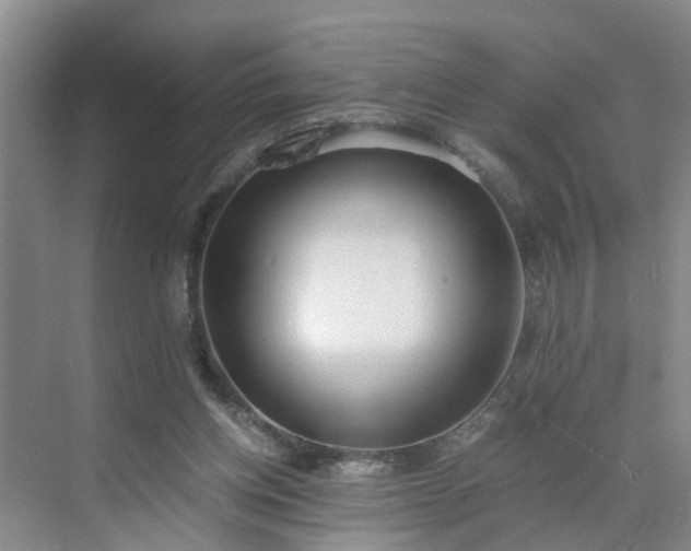 X0000071350158200606301701