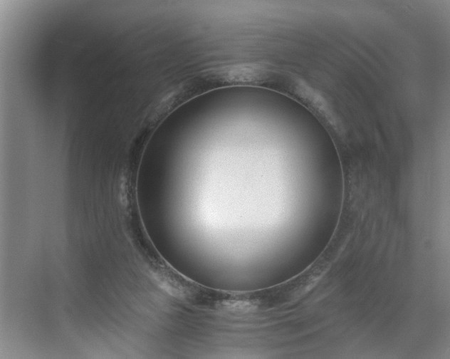 X0000071350161200606301701