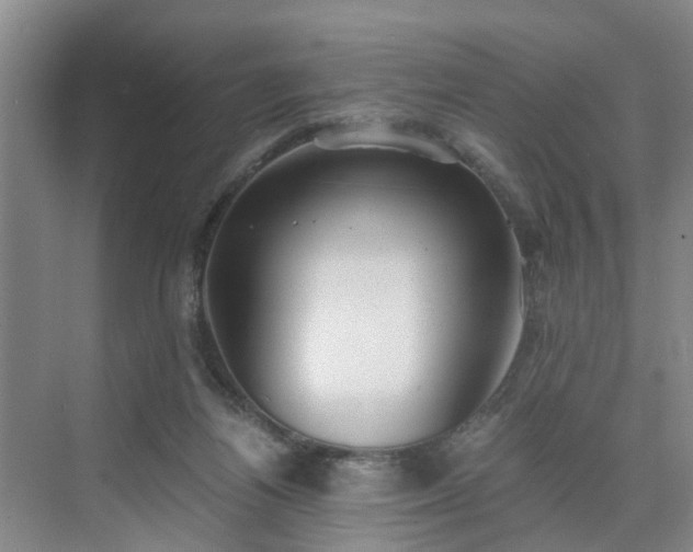 X0000071350164200606301701