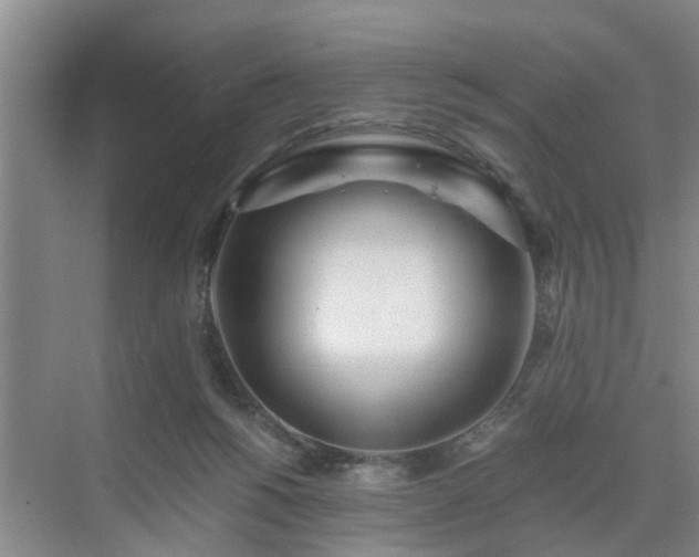 X0000071350168200606301701