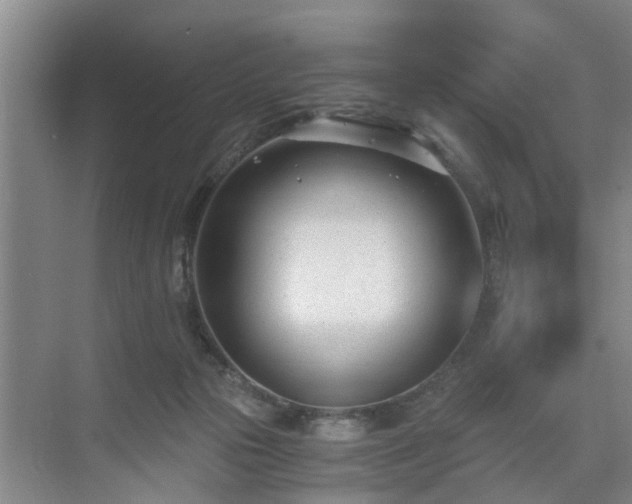 X0000071350169200606301701