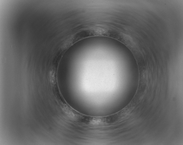 X0000071350177200606301701