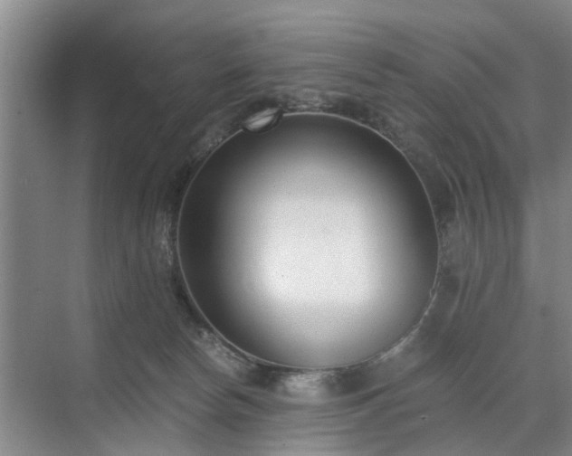 X0000071350178200606301701