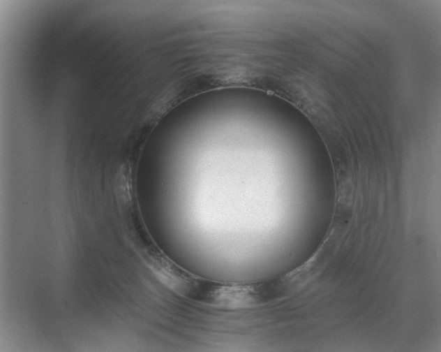 X0000071350179200606301701