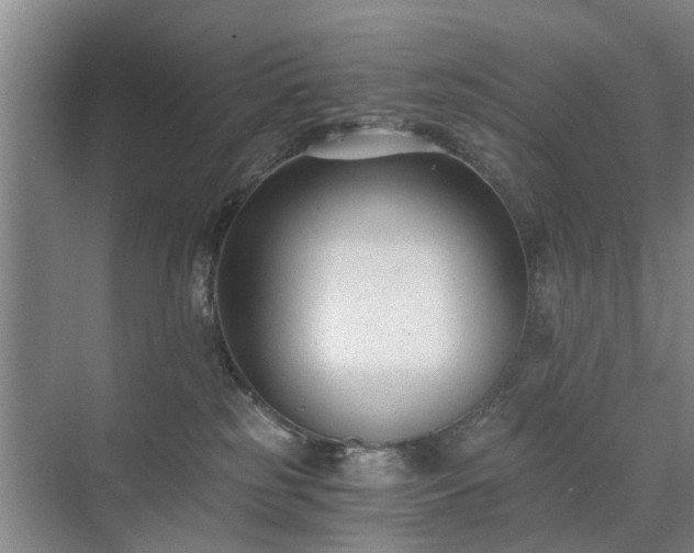 X0000071350185200606301702