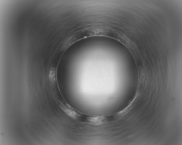 X0000071350191200606301702