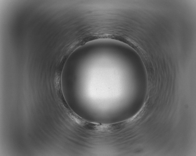 X0000071350192200606301702