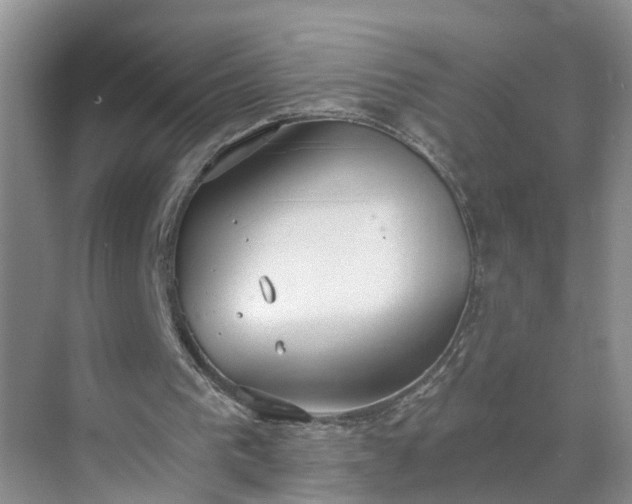 X0000071350193200606301701