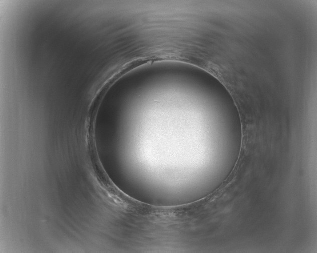 X0000071350194200606301701