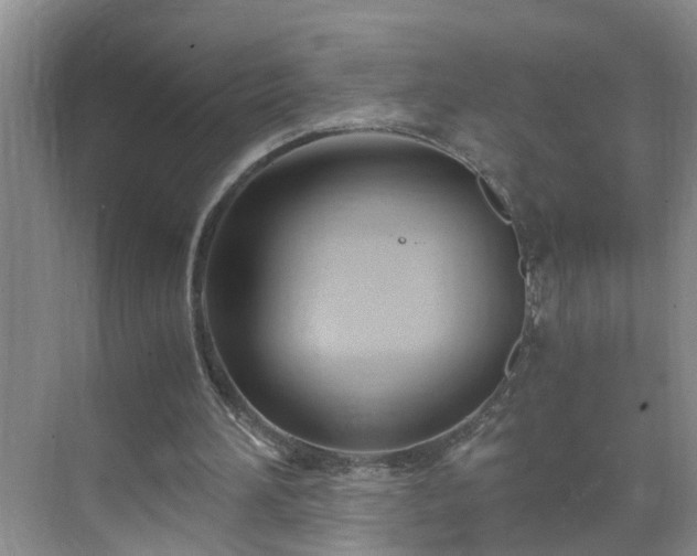 X0000071350196200606301701