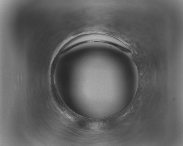 X0000071350200200606301701