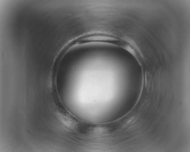 X0000071350204200606301701