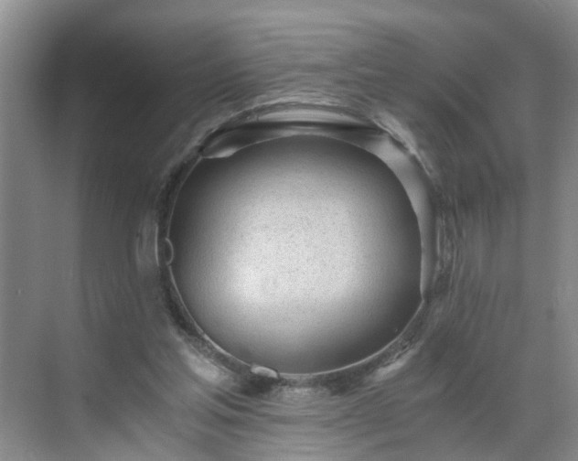 X0000071350205200606301701