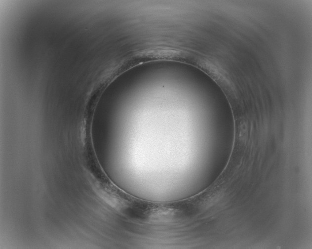 X0000071350206200606301701