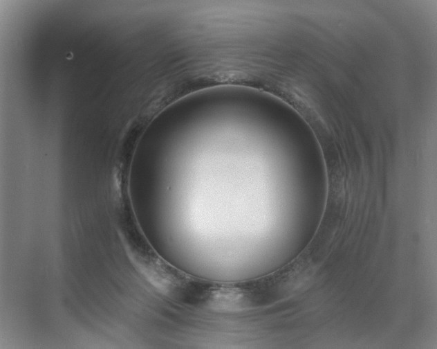 X0000071350214200606301701