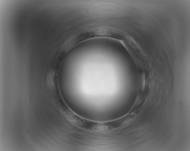 X0000071350217200606301700