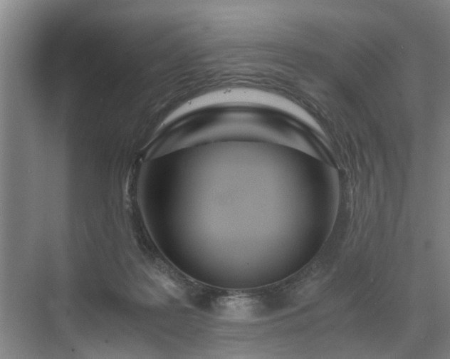 X0000071350219200606301700