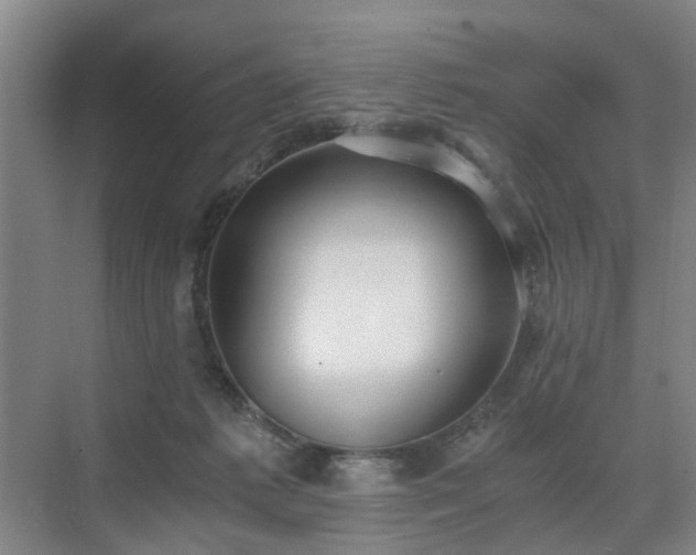 X0000071350221200606301700