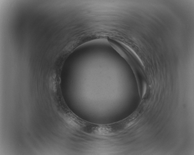 X0000071350223200606301700