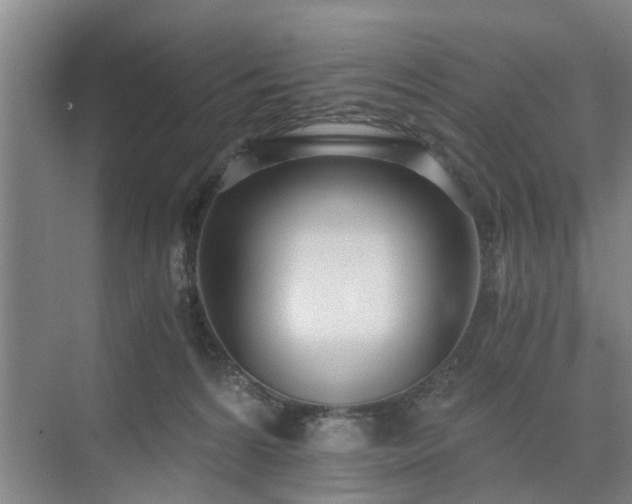 X0000071350224200606301700