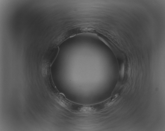 X0000071350227200606301700