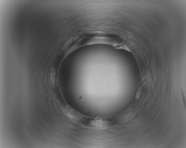 X0000071350231200606301700