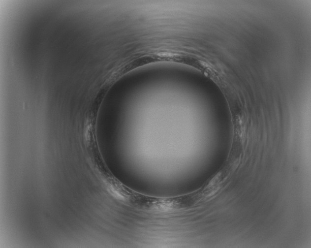 X0000071350235200606301700