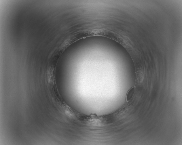 X0000071350236200606301700