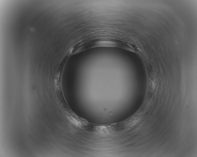 X0000071350239200606301700