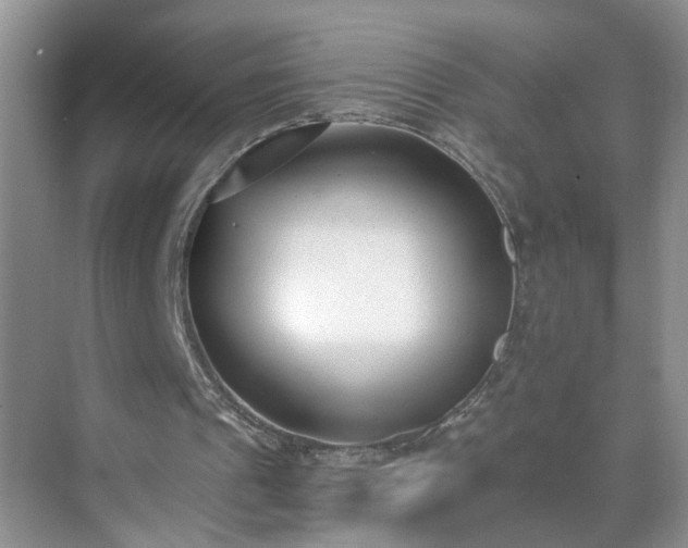 X0000071350241200606301659