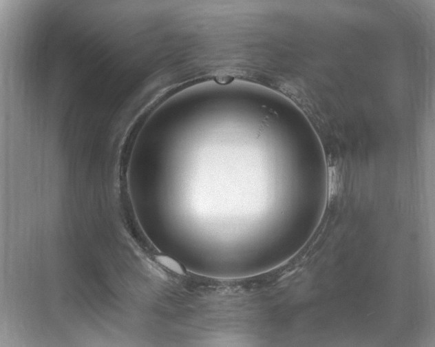 X0000071350243200606301659