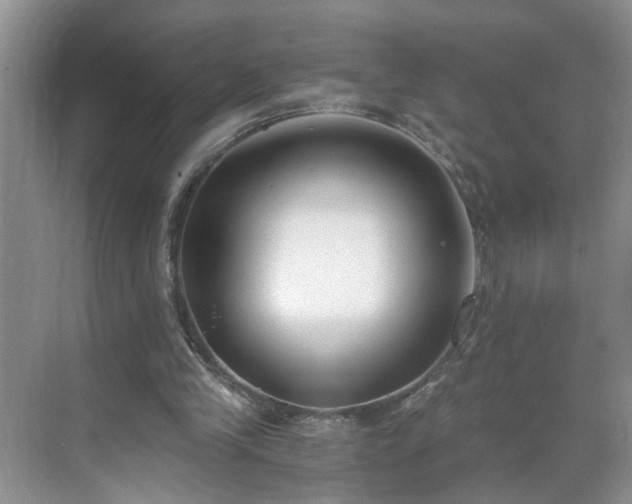 X0000071350245200606301659