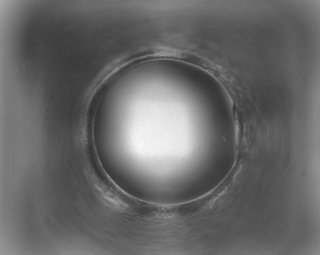 X0000071350247200606301659