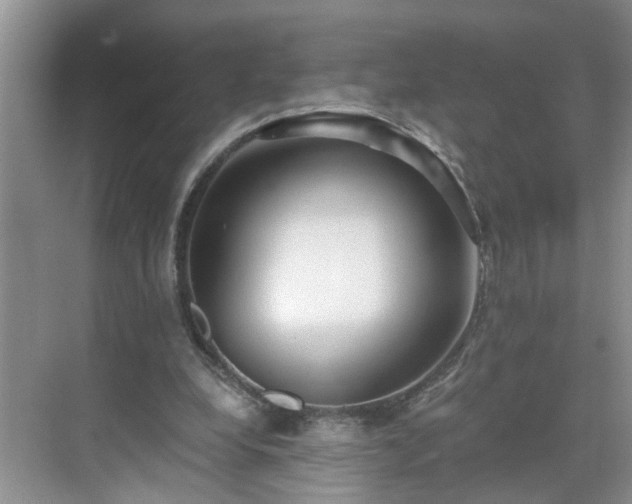 X0000071350248200606301659