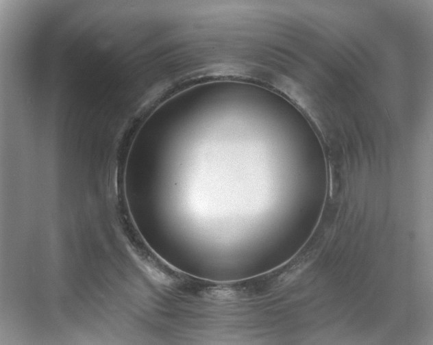 X0000071350253200606301659