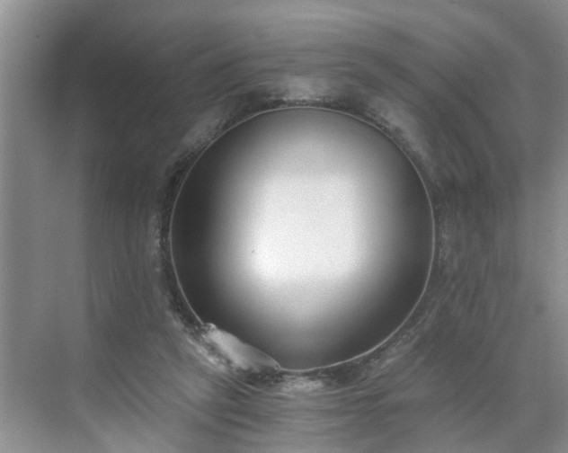 X0000071350257200606301700