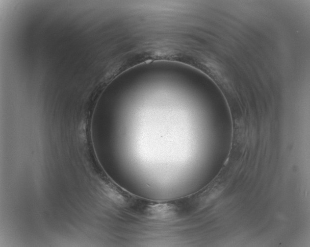 X0000071350269200606301700