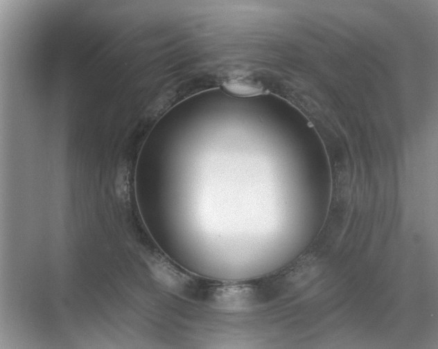 X0000071350274200606301700