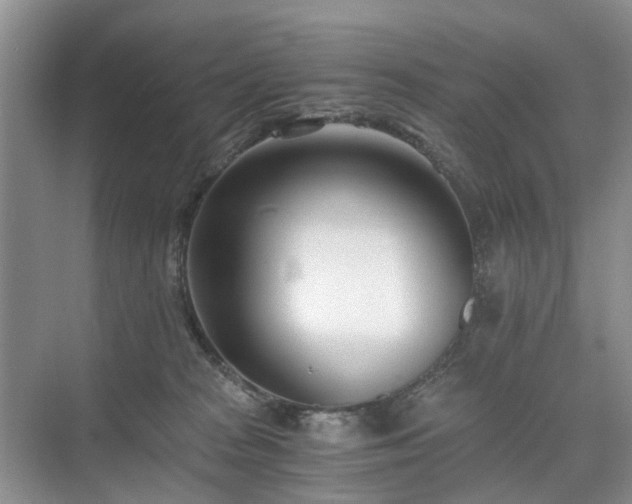 X0000071350277200606301700