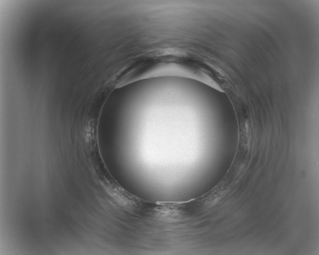 X0000071350284200606301700