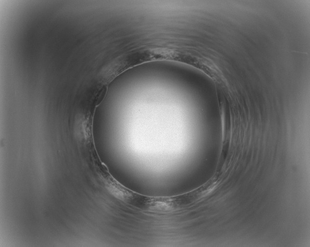 X0000071350285200606301700