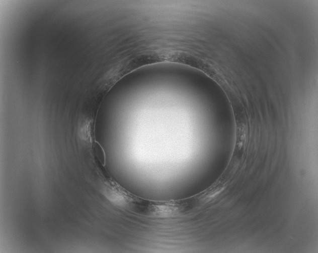 X0000071350286200606301700