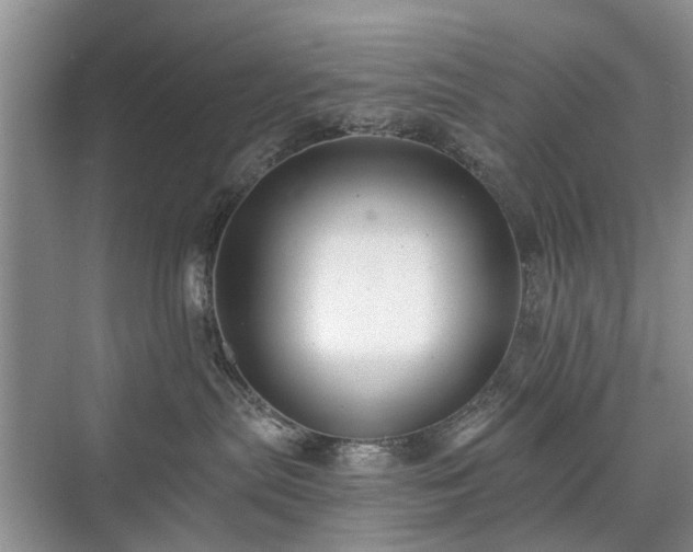 X0000071350287200606301700