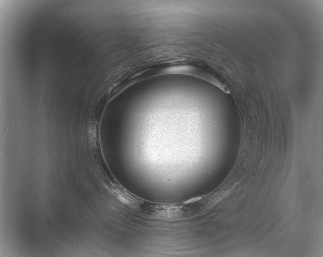 X0000071350288200606301700